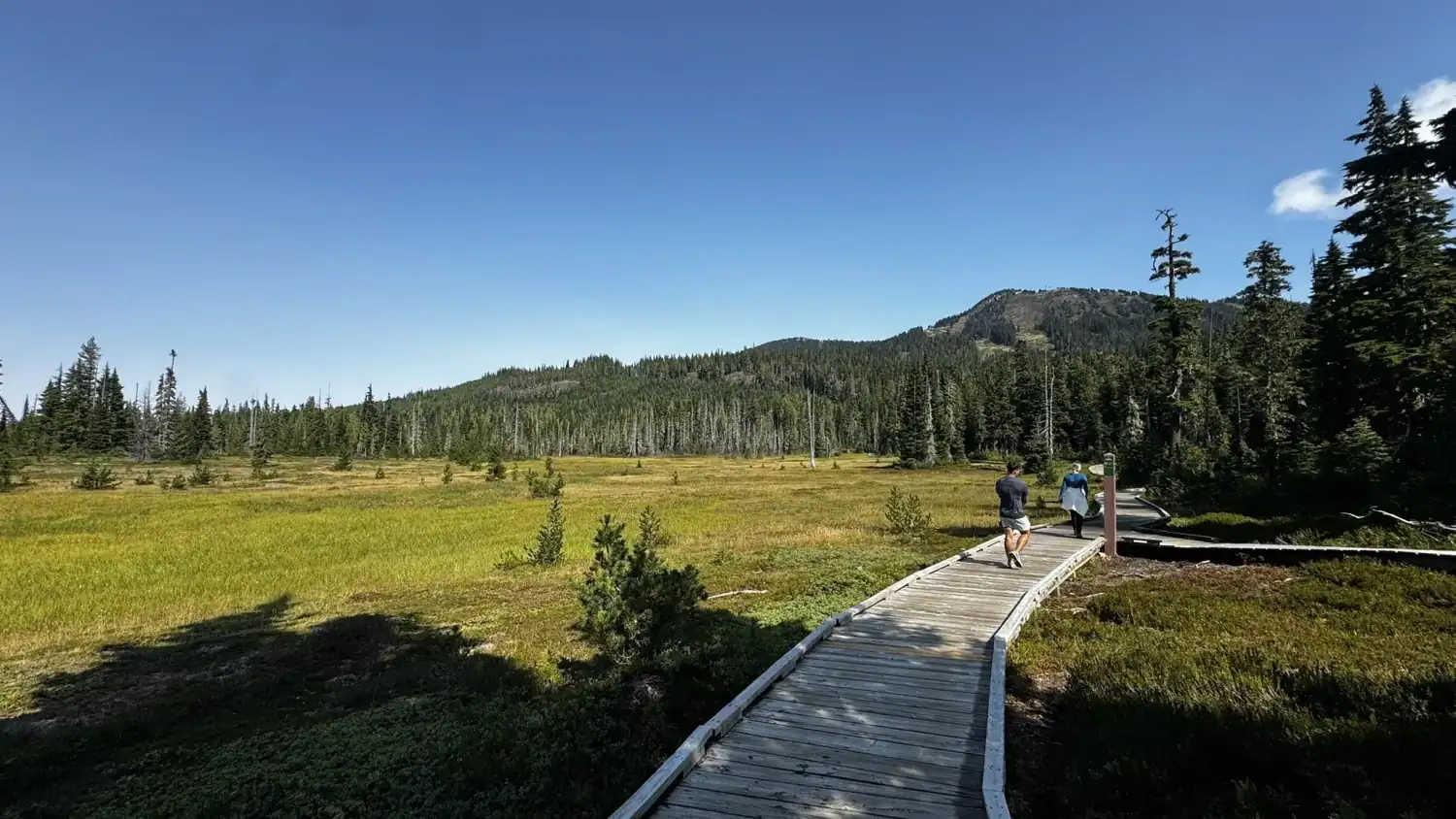 Mt. Washington Trials